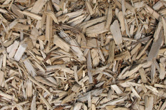 biomass boilers Baswich