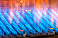 Baswich gas fired boilers